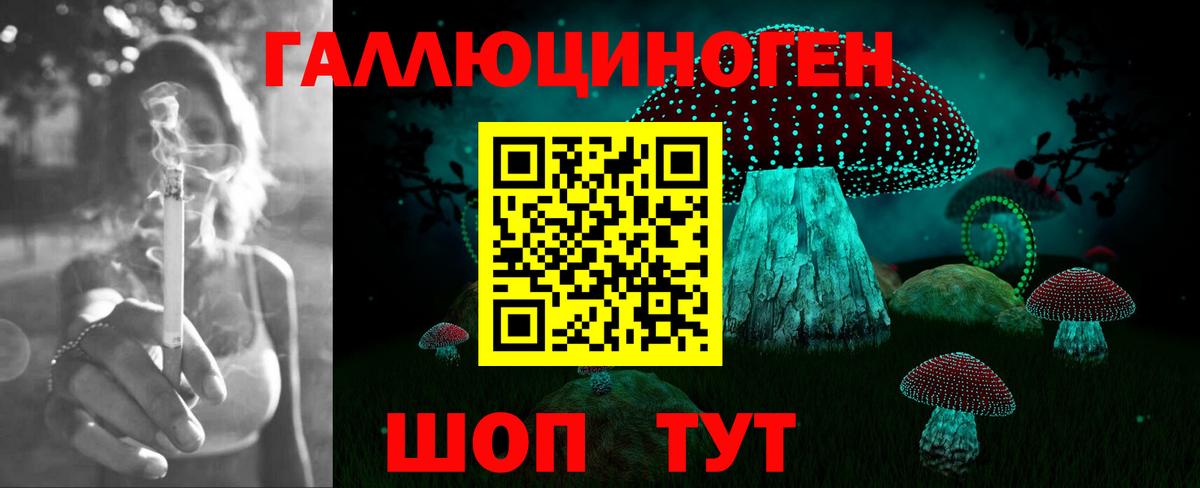 Галлюциногенные грибы Psilocybe  Вход с VPN  Гудермес 