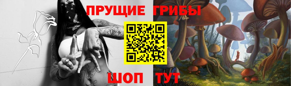 Псилоцибиновые грибы Psilocybine cubensis Гудермес