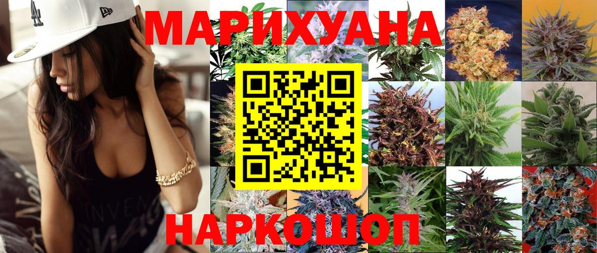 Бошки марихуана план Гудермес